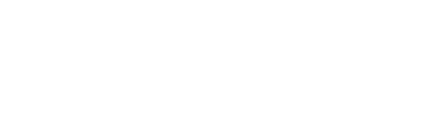 NRG BI